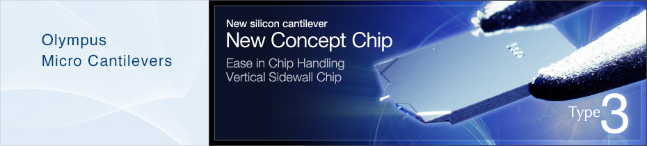 New Concept Chip Type3