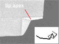 SEM micrograph around the tip observed from the tip side