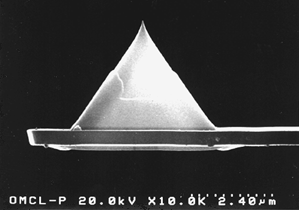 SEM image of pyramidal tip